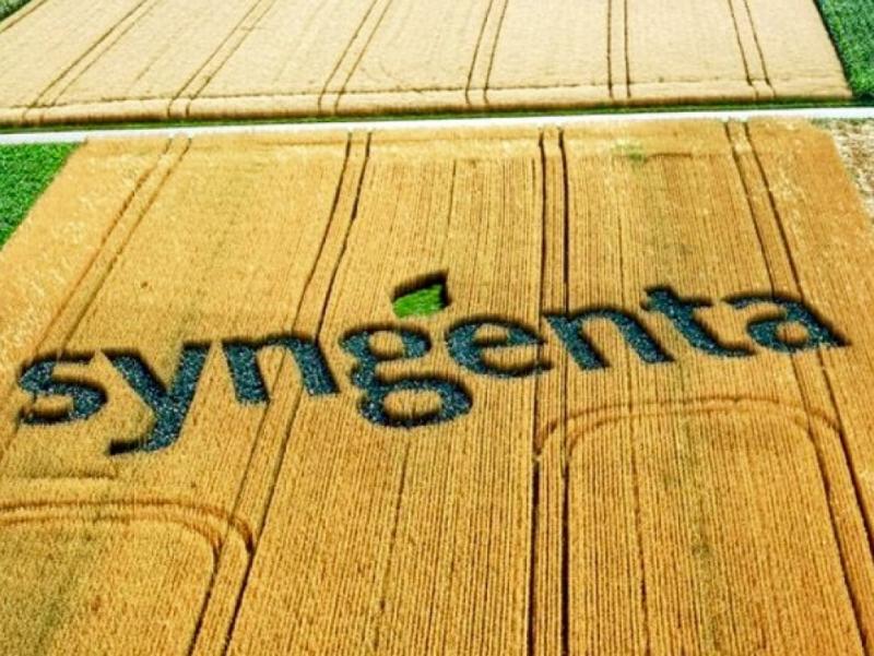 Europa evaluará aprobación de compra de Syngenta por parte de ChemChina el próximo año
