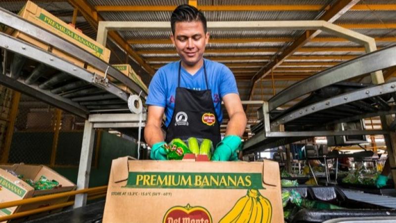Europa importó 4% más de bananas en volumen en 2024