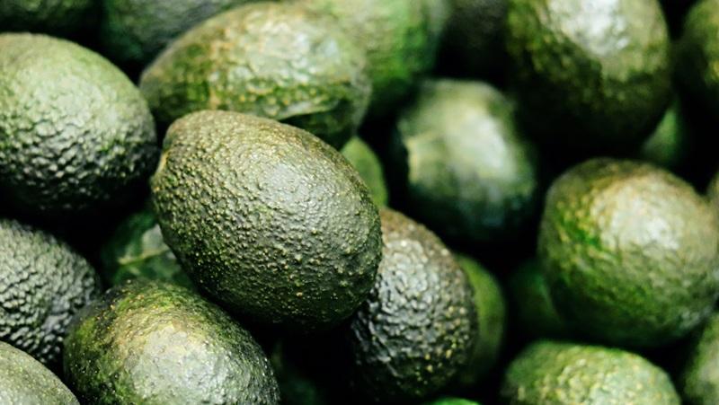 Europa recibe la mayor cantidad de palta peruana de la temporada