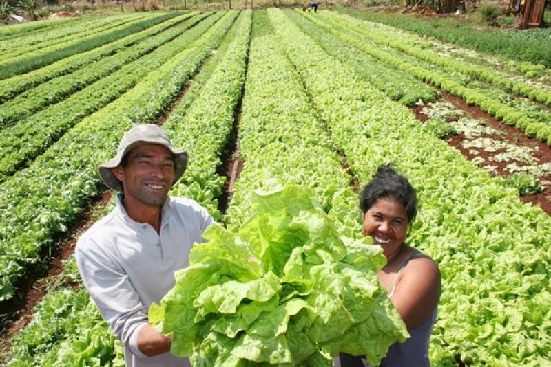 EXIGEN APROBAR LEY DE AGRICULTURA FAMILIAR Y SEGURIDAD ALIMENTARIA