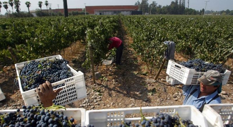 “Exigirles a las empresas agrarias mantener la misma cantidad de trabajadores durante todo el año no sería razonable”