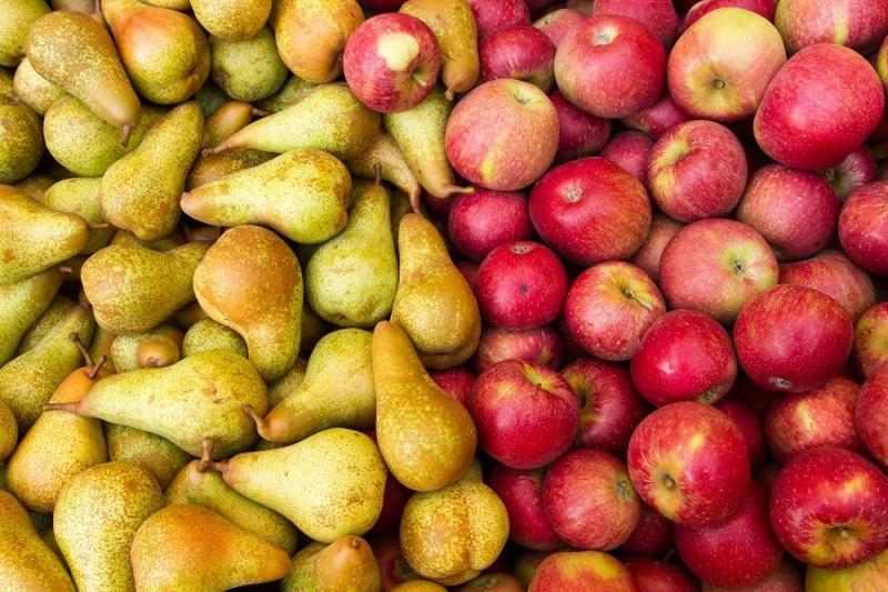 Existencias de manzanas europeas en enero fueron un 6% más bajas que en 2022