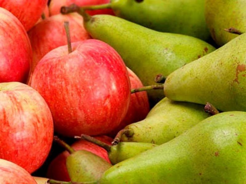 Existencias europeas de manzanas sumaron 1.542.655 toneladas hasta el 1 de mayo, registrando un aumento de 17.7% en comparación al 2021