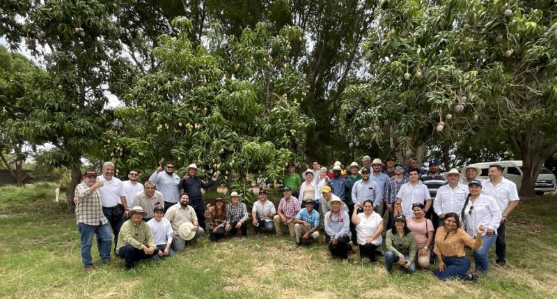 Exitoso y Brillante Taller de Extensión de Mangos de Exportación de Calidad en el Norte de Sinaloa - México