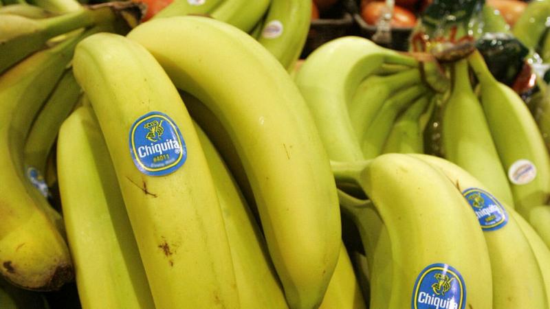 Exportación de bananas de Ecuador se incrementa en primer semestre del año