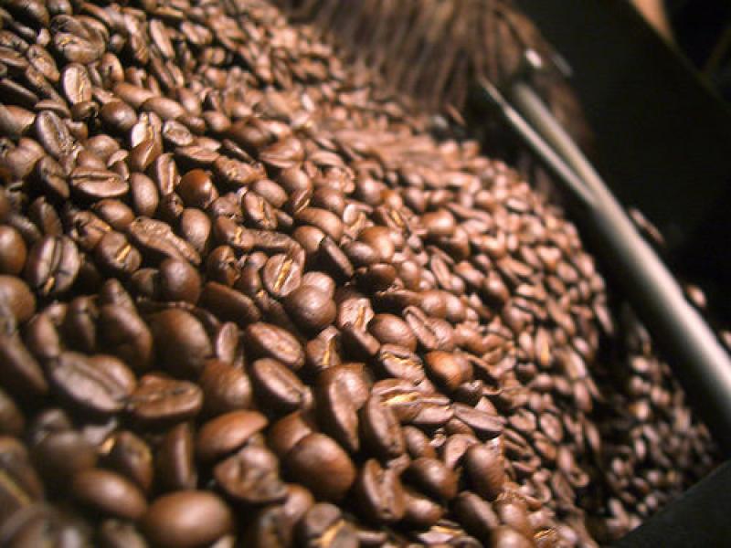 EXPORTACIÓN DE CAFÉ CRECIÓ 8%