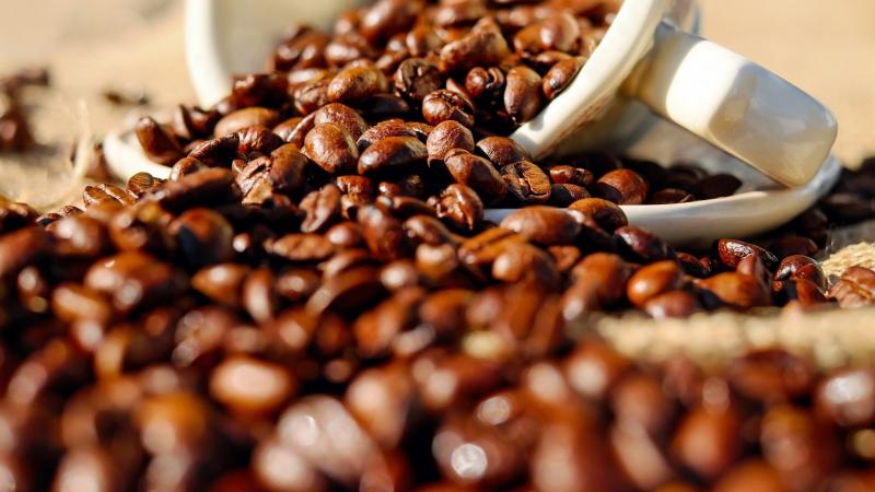 Exportación de café peruano se incrementó en 62.8% en el primer semestre