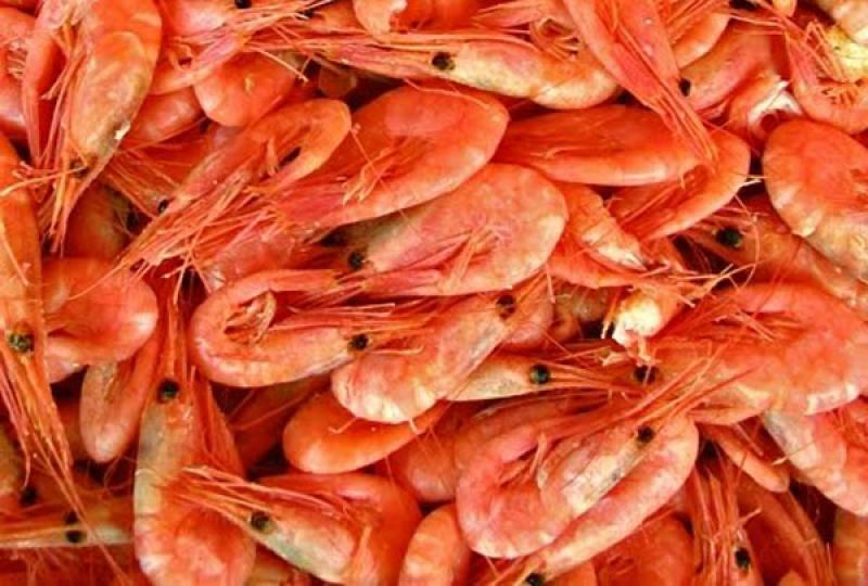 Exportación de camarones y langostinos superó los US$ 103 millones en el primer semestre