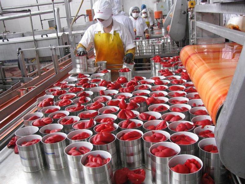 EXPORTACIÓN DE CAPSICUM ALCANZARÍA LOS US$ 204  MILLONES ESTE AÑO