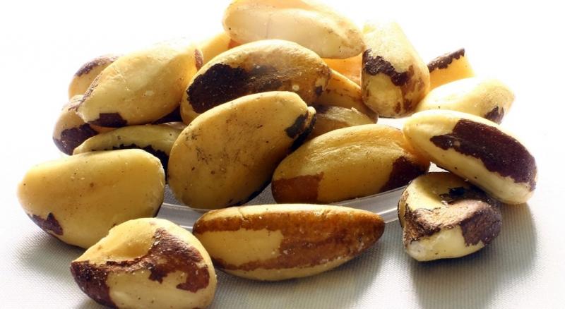 Exportación de nueces de Brasil sin cáscara llegan a US$ 4.9 millones en el primer bimestre