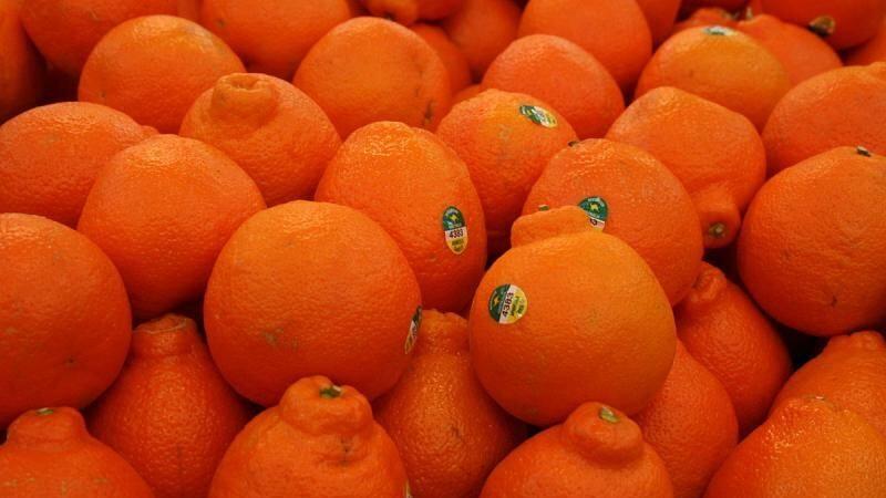 Exportación de tangelo alcanzó los US$ 9.7 millones hasta agosto