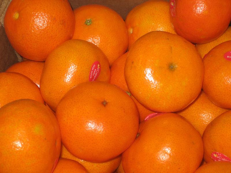 Exportación peruana de mandarinas creció 75.3% en últimos cinco años