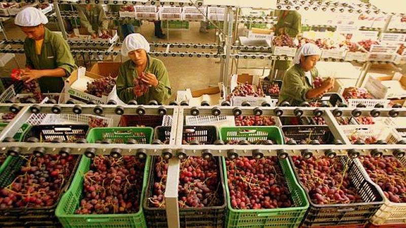 EXPORTACIONES AGRARIAS SUMARON US$ 4.427 MILLONES EL 2013 