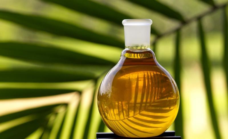 Exportaciones de aceite de palma en bruto sumaron US$ 10.4 millones en el primer bimestre
