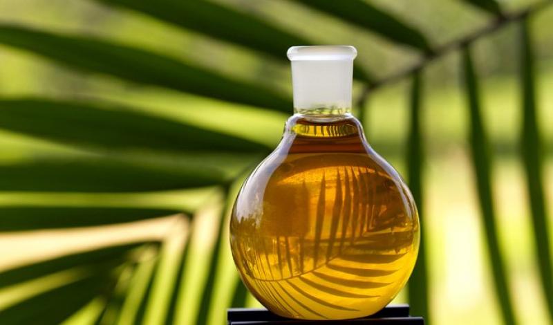 Exportaciones de aceite de palma refinada llegan a valores de US$ 14.6 millones