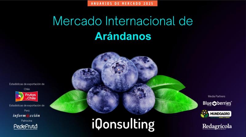 Exportaciones de arándanos del hemisferio sur alcanzaron las 436.431 toneladas en la campaña 2024/2025