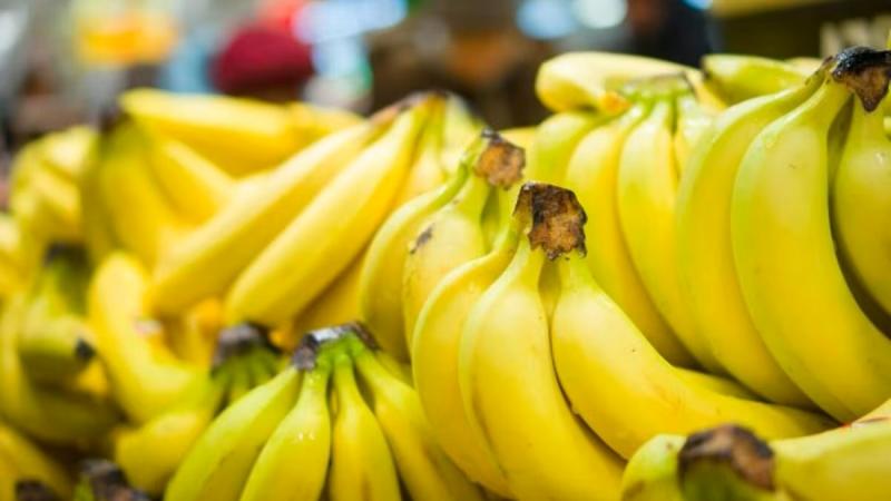 Exportaciones de banano de Ecuador crecen 4,77% en volumen entre enero y julio de 2025 