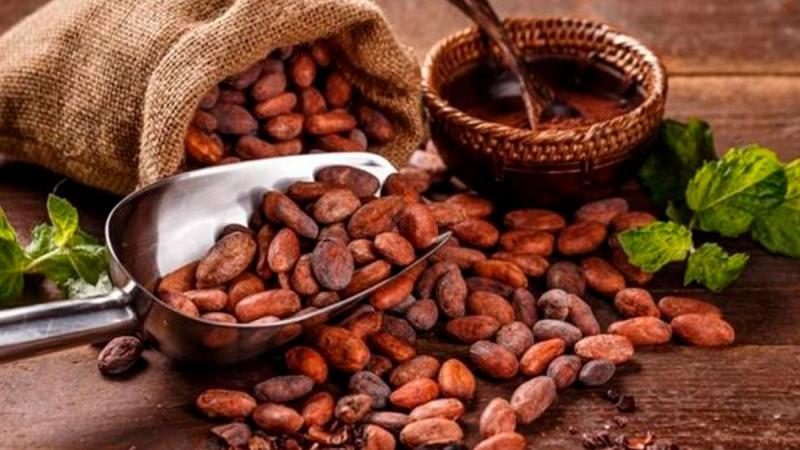 Exportaciones de cacao crecen 72% en volumen y 316% en valor en el segundo trimestre del 2024