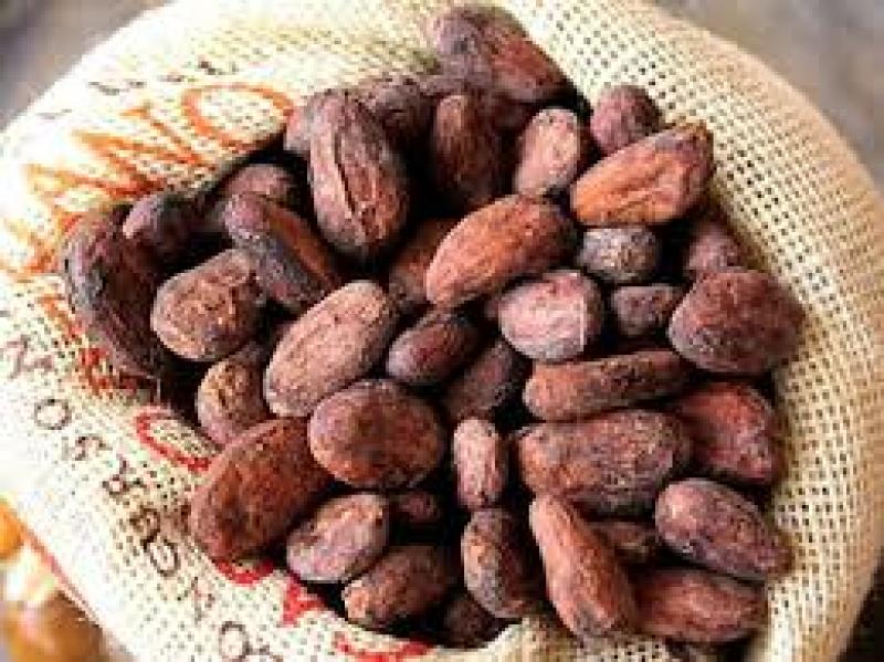 Exportaciones de cacao en grano sumaron US$ 3.6 millones entre enero y mayo