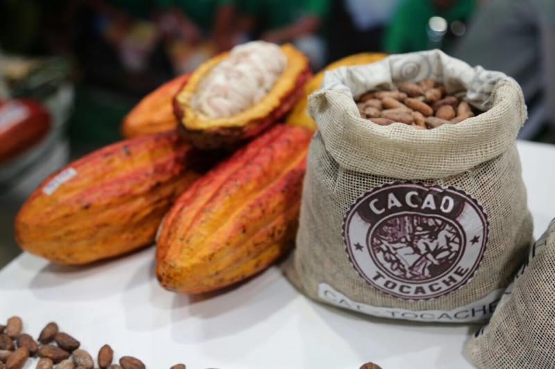 Exportaciones de cacao y chocolate superarían los US$ 300 millones este año