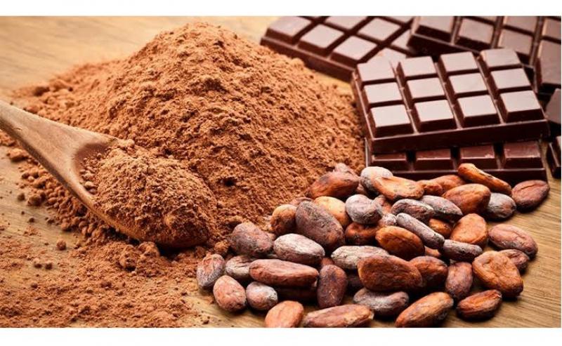 Exportaciones de cacao y derivados crecieron en valor 7.3% en el 2019