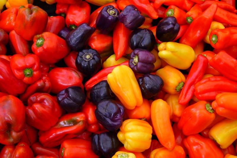 EXPORTACIONES DE CAPSICUM CRECIERON 10% EN VALOR 