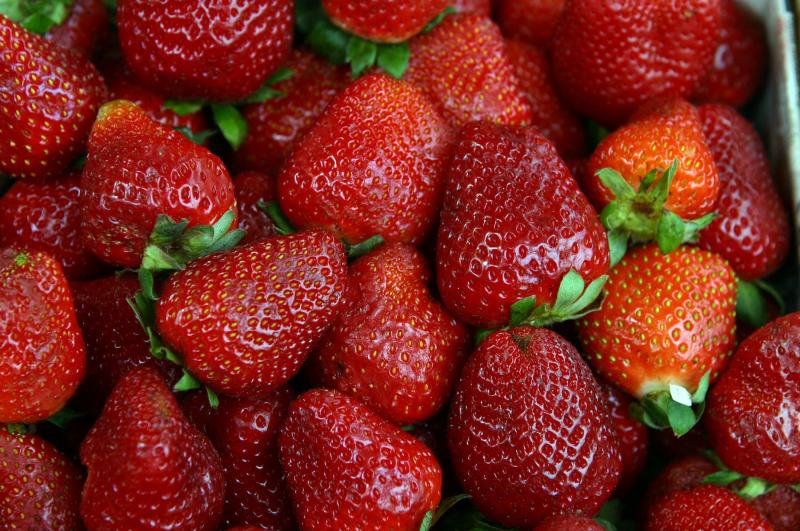 Exportaciones de fresas superan los US$ 36 millones