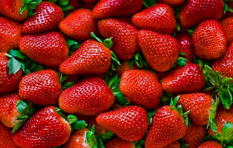 Exportaciones de fresas superaron los US$ 8 millones durante los cinco primeros meses del año