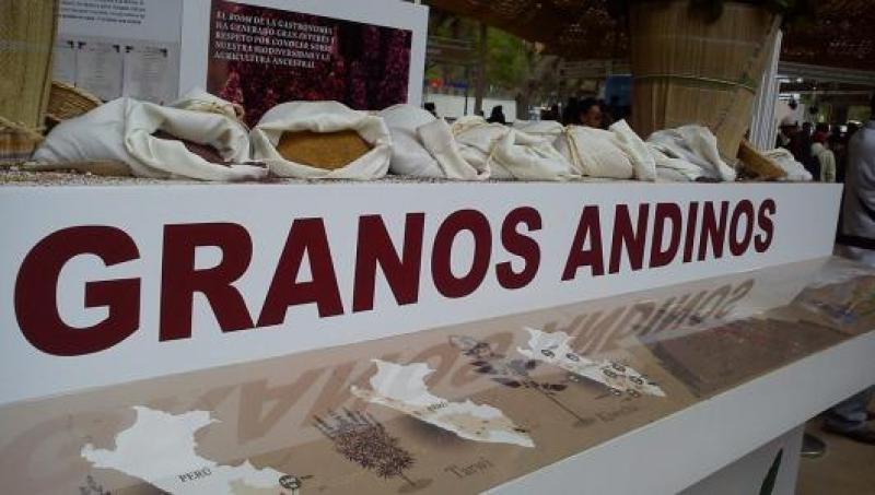 Exportaciones de granos andinos crecerían 8% este año