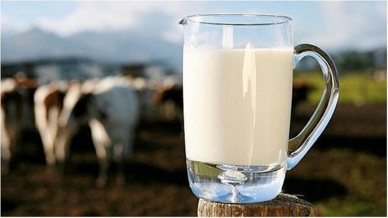 Exportaciones de leche evaporada sumaron US$ 12 millones en primer bimestre de 2026