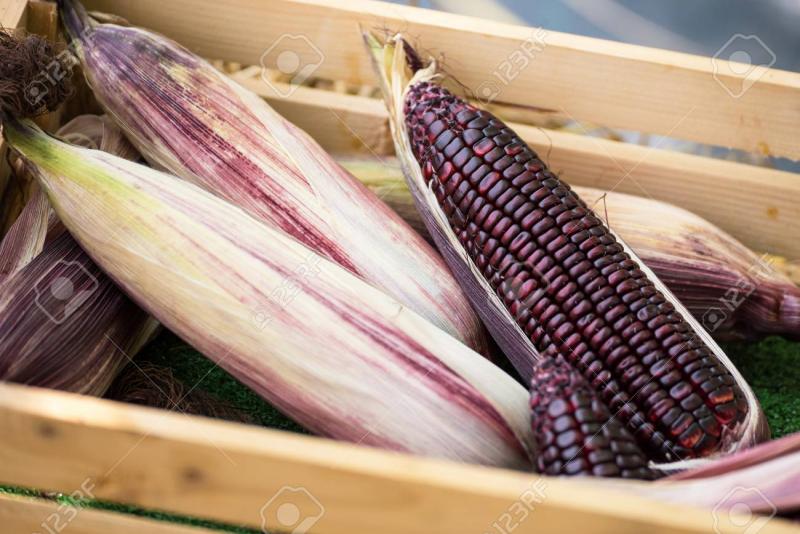 Exportaciones de maíz morado llegaron a US$ 221 mil durante los primeros cuatro meses del año