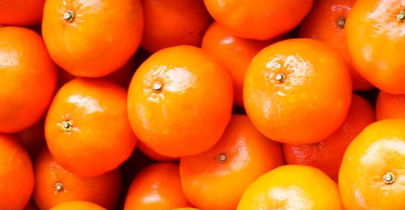 Exportaciones de mandarina de Perú crecieron 3% en volumen y 8% en valor entre enero y agosto de 2022