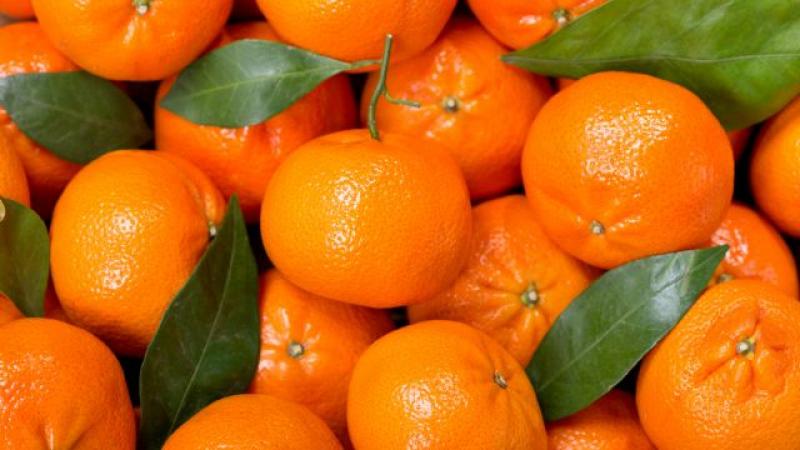 Exportaciones de mandarinas de Sudáfrica crecieron 9% en volumen y 37% en valor entre enero y julio del 2021