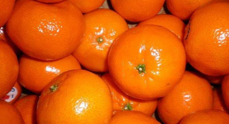 Exportaciones de mandarinas llegaron a valores de US$ 33.5 millones durante los ocho primeros meses del año