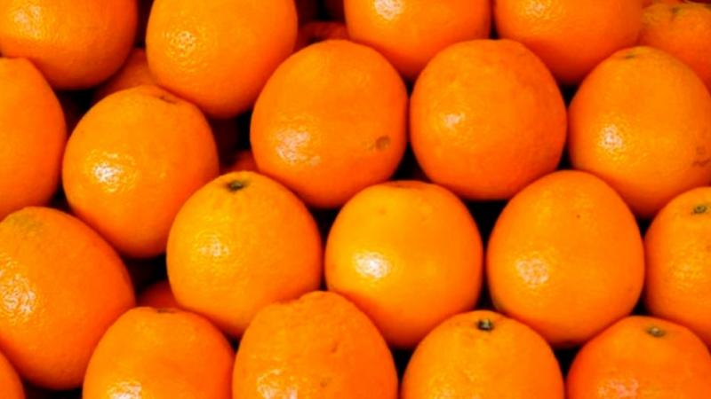 Exportaciones de naranja peruana se contrajeron -82% en volumen y -71% valor en el primer semestre del año