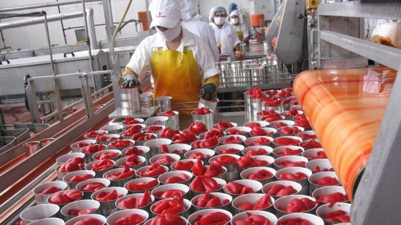 Exportaciones de pimiento piquillo en conserva superan los US$ 25 millones hasta agosto