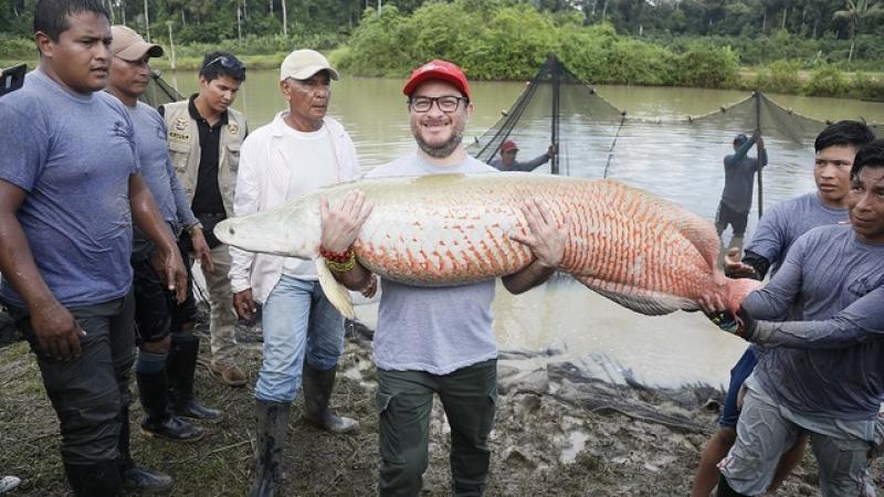 Exportaciones de regiones amazónicas crecieron 5.5% en el primer bimestre del año