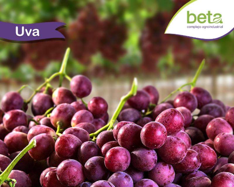 Exportaciones de uva por parte de Beta disminuirían 23.5% en la campaña 2017/2018