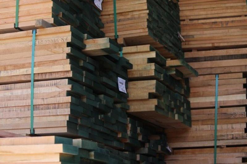 Exportaciones del sector forestal caen 7% anual desde 2008