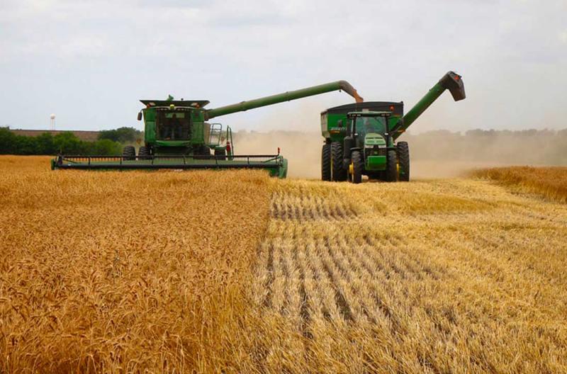 Exportaciones estadounidenses de granos en cosecha 2021 2022 totalizaron en 131.4 millones de toneladas hasta el 5 de mayo