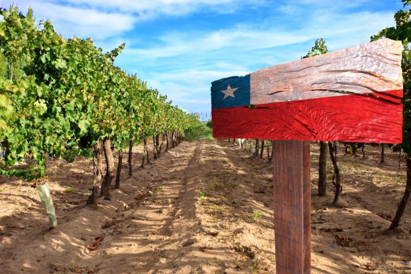 Exportaciones frutícolas de Chile a China alcanzan un valor histórico de US$ 1.581 millones en primer semestre de 2021
