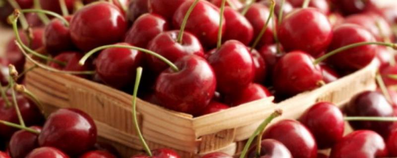 Exportaciones frutícolas de Chile disminuyen 17% en valor durante primer trimestre del año