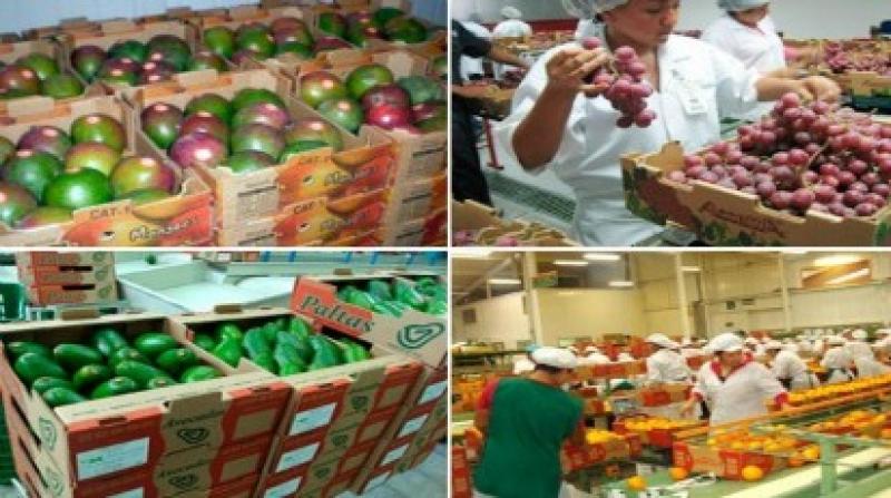 EXPORTACIONES PERUANAS ALCANZARÍAN LOS US$ 45. 198 MILLONES 