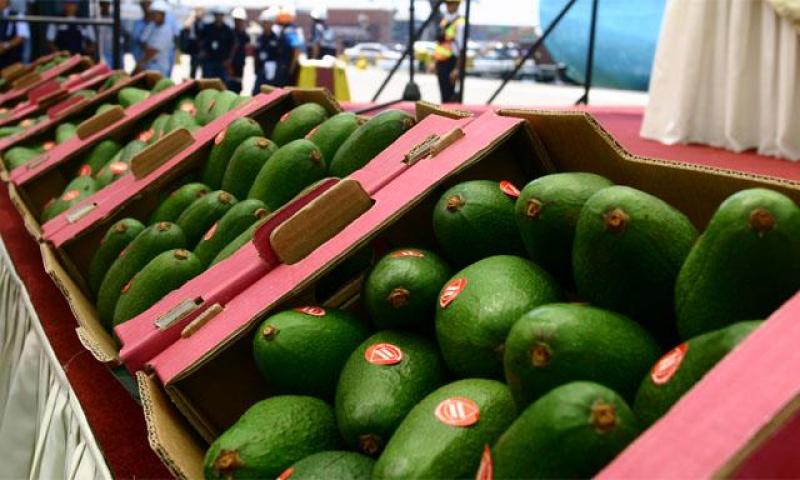Exportaciones peruanas crecerían 18% este año