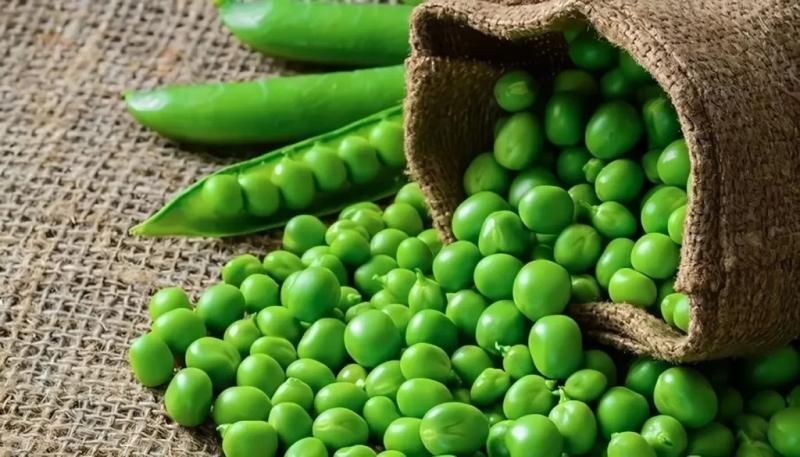 Exportaciones peruanas de arveja en fresco llegan a US$ 43.6 millones