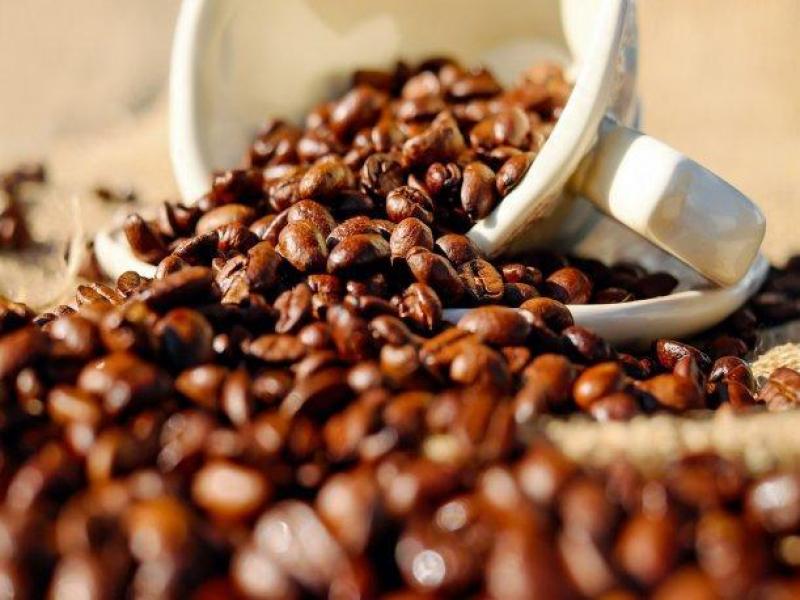 Exportaciones peruanas de café cayeron 3% en el primer semestre del año