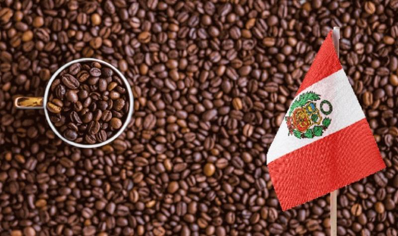 Exportaciones peruanas de café sumaron US$ 917 millones entre enero y octubre, mostrando un aumento de 60.9%