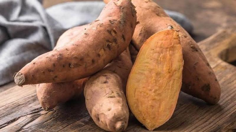 Exportaciones peruanas de camote crecen 20.3% y llegan a 19 mercados internacionales