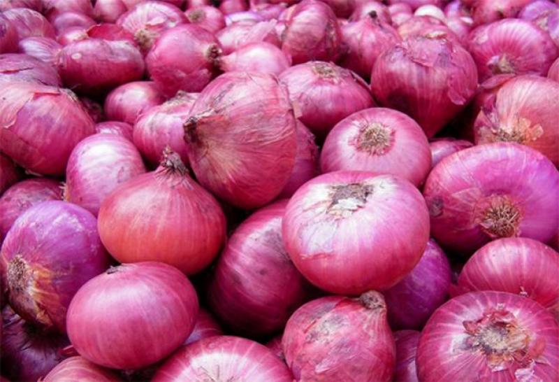 Exportaciones peruanas de cebolla crecieron 18% en 2019
