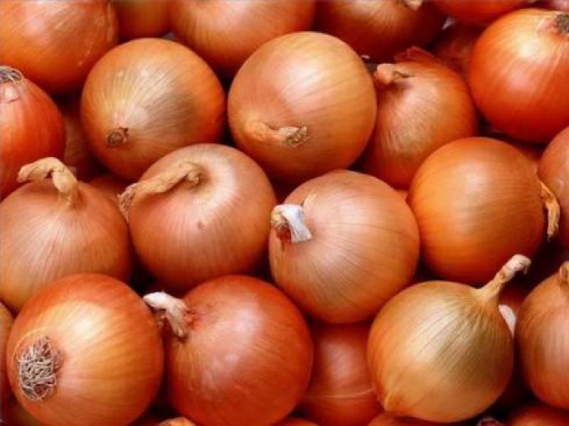 Exportaciones peruanas de cebollas crecieron 31.5% en los últimos cinco años